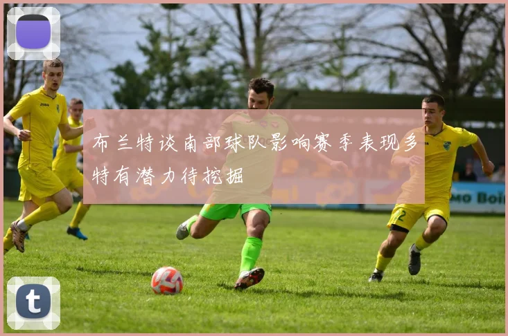 布兰特谈南部球队影响赛季表现多特有潜力待挖掘